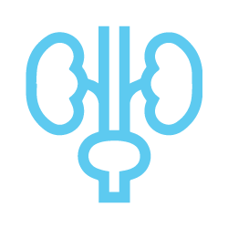 urologia